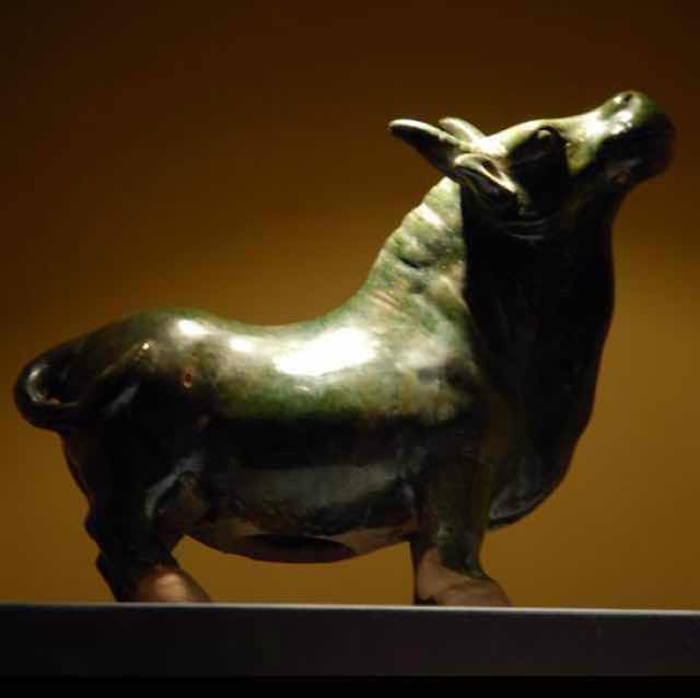 古牛31847456的直播间